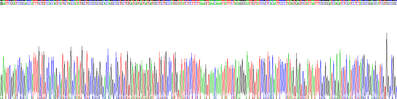 Recombinant Complement Component 3a (C3a)