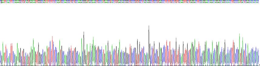 Recombinant Complement Component 4a (C4a)