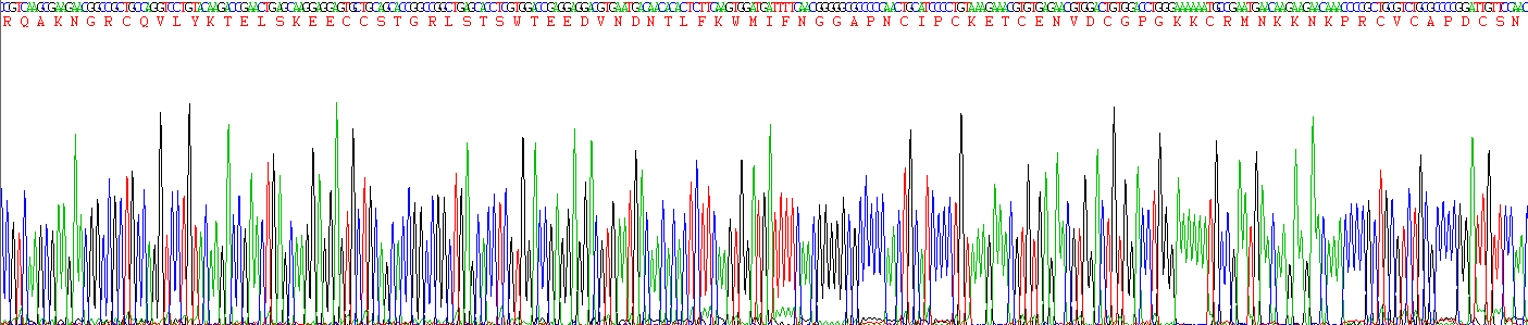 Recombinant Follistatin (FS)