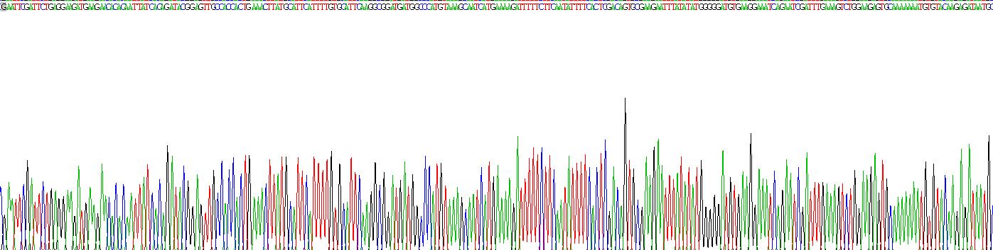 Recombinant Tissue Factor Pathway Inhibitor (TFPI)