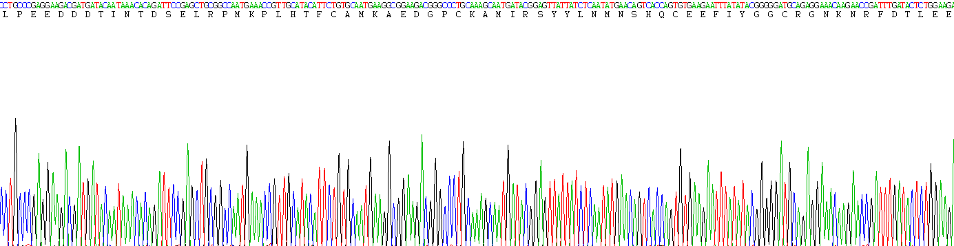 Recombinant Tissue Factor Pathway Inhibitor (TFPI)