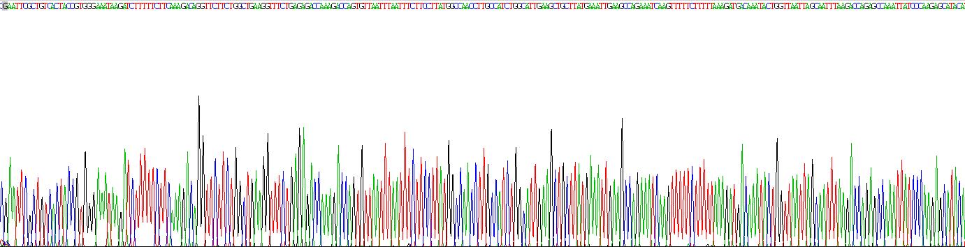 Recombinant Matrix Metalloproteinase 12 (MMP12)