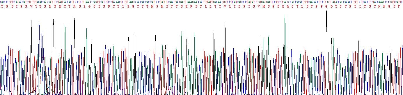 Recombinant Mucin 17 (MUC17)