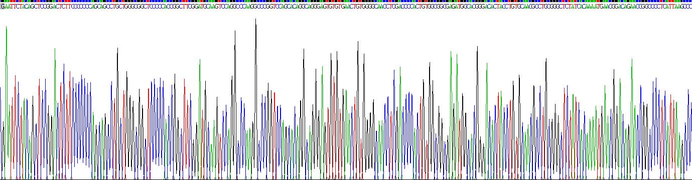 Recombinant GATA Binding Protein 3 (GATA3)