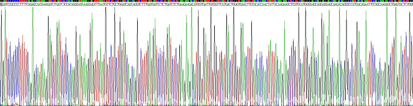 Recombinant Alpha-Hemoglobin Stabilizing Protein (aHSP)