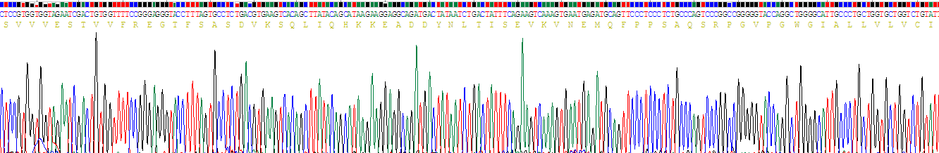 Recombinant Mucin 1 (MUC1)