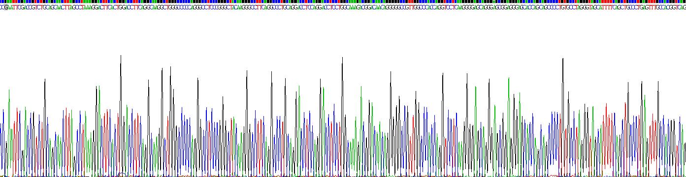 Recombinant Elastin Microfibril Interface Located Protein 1 (EMILIN1)