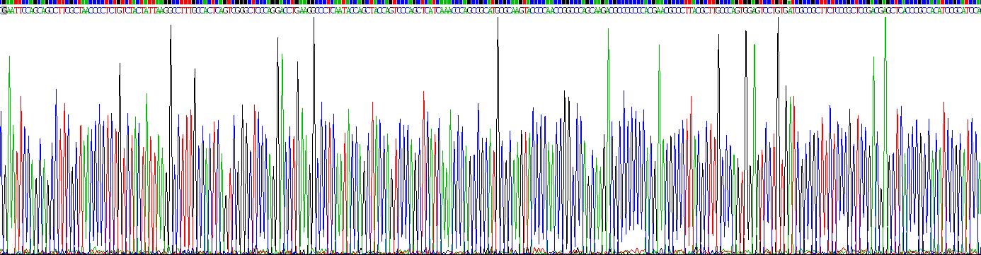 Recombinant Early Growth Response Protein 1 (EGR1)