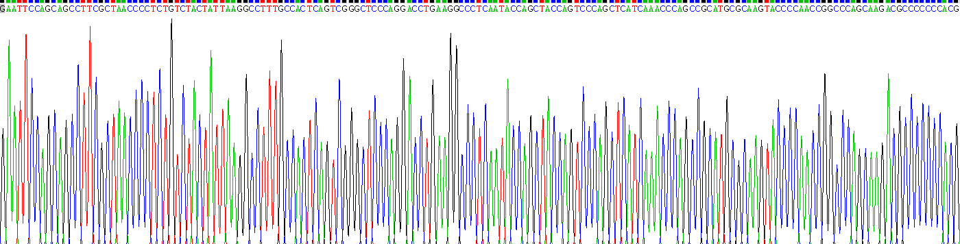 Recombinant Early Growth Response Protein 1 (EGR1)