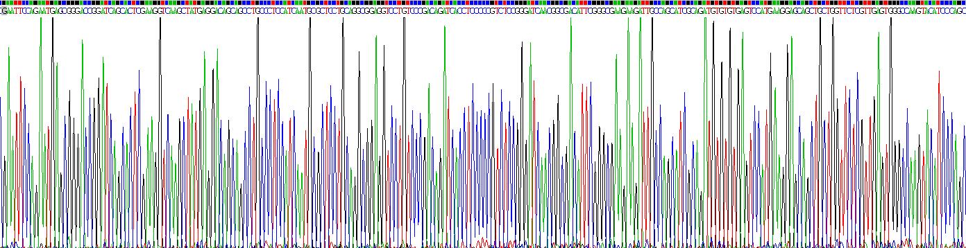 Recombinant Hepatocyte Nuclear Factor 4 Alpha (HNF4a)