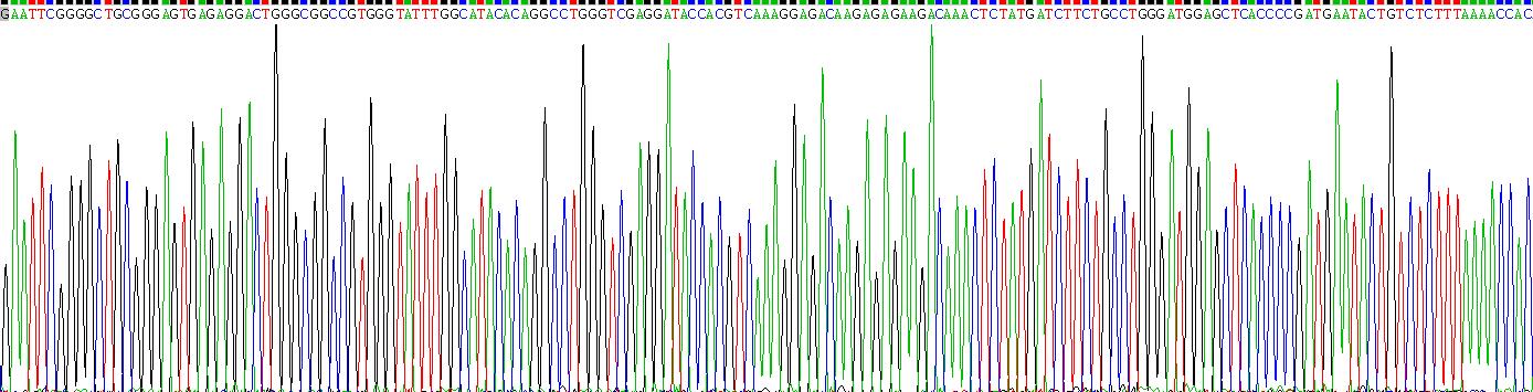 Recombinant Apobec 1 Complementation Factor (ACF)