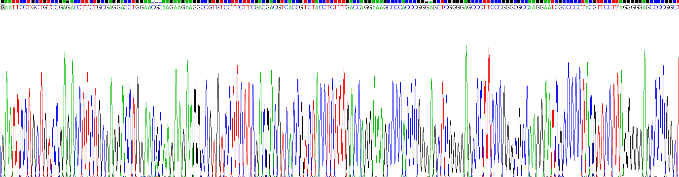 Recombinant Apoptosis Associated Tyrosine Kinase (AATK)