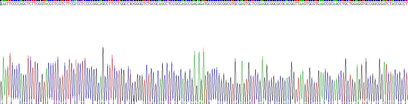 Recombinant 5T4