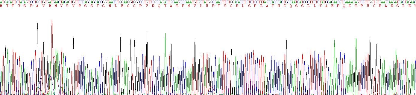 Recombinant Estrogen Receptor Beta (ERb)