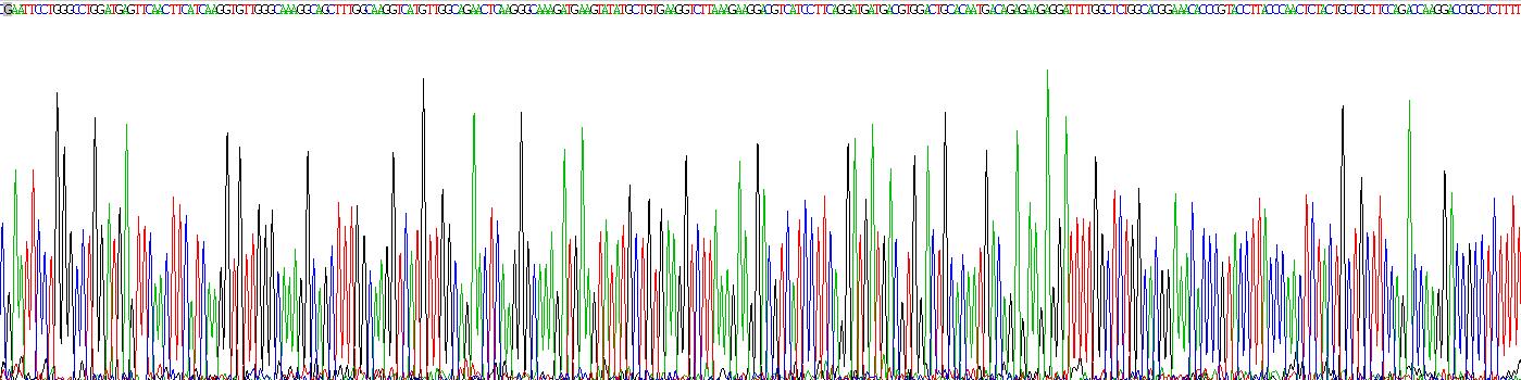 Recombinant Protein Kinase C Epsilon (PKCe)