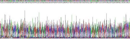 Recombinant Desmoglein 3 (DSG3)