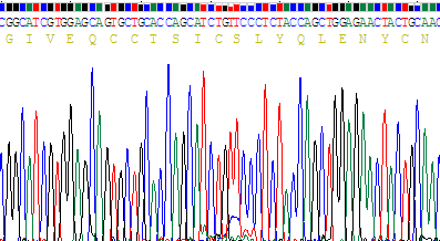 Recombinant Insulin (INS)