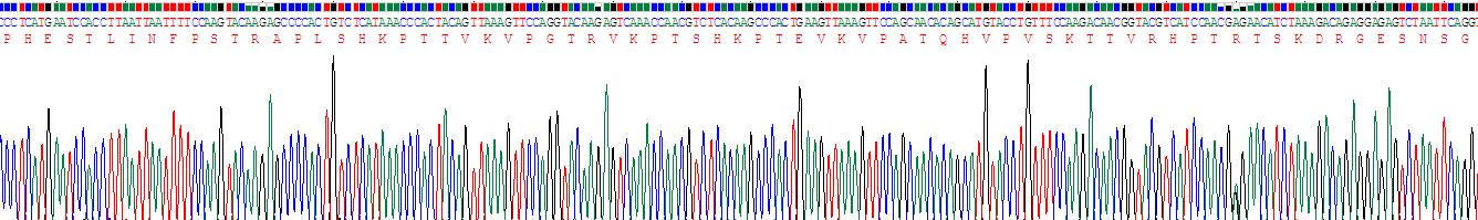 Recombinant Cluster Of Differentiation 55 (CD55)