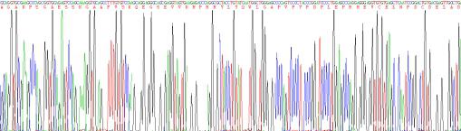 Recombinant Osteocalcin (OC)