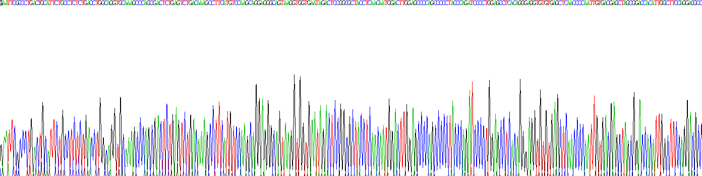 Recombinant Osteocalcin (OC)