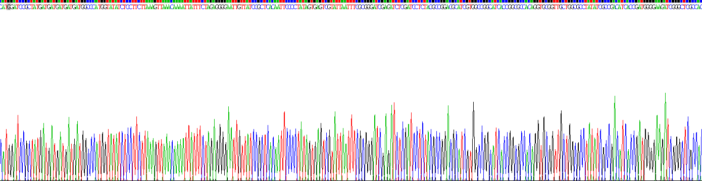 Recombinant Cystatin A (CSTA)