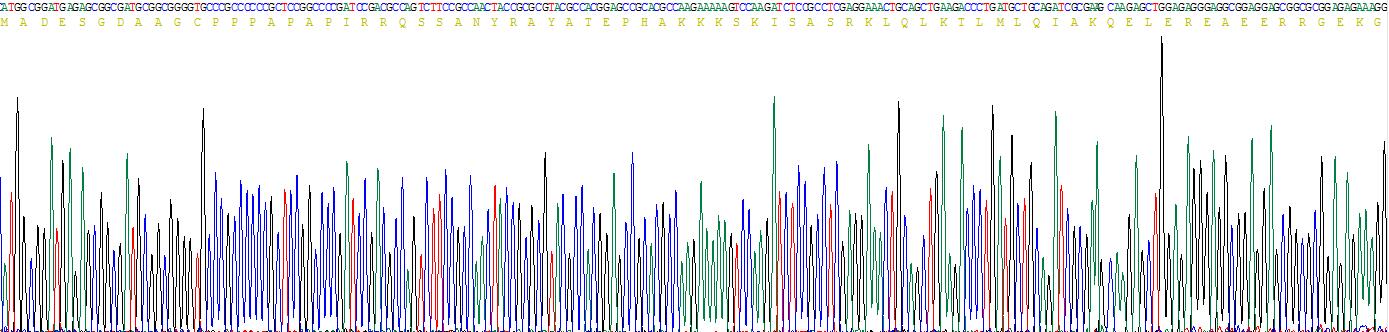 Recombinant Cardiac Troponin I (cTnI)