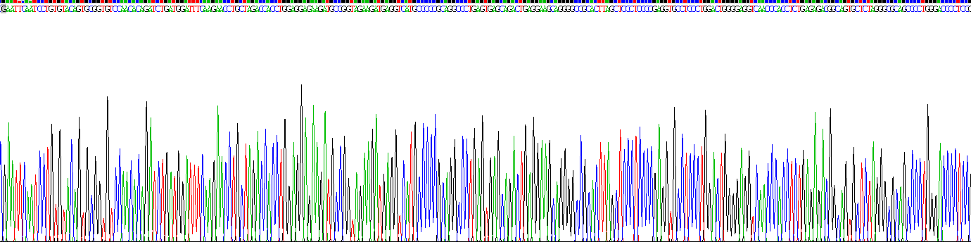 Recombinant N-Terminal Pro-Atrial Natriuretic Peptide (NT-ProANP)