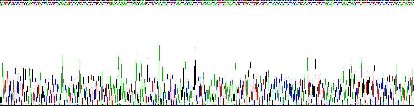 Recombinant N-Terminal Pro-Brain Natriuretic Peptide (NT-ProBNP)