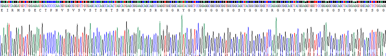 Recombinant Cytokeratin 1 (CK1)