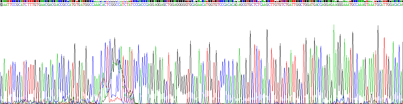 Recombinant Interleukin Enhancer Binding Factor 3 (ILF3)