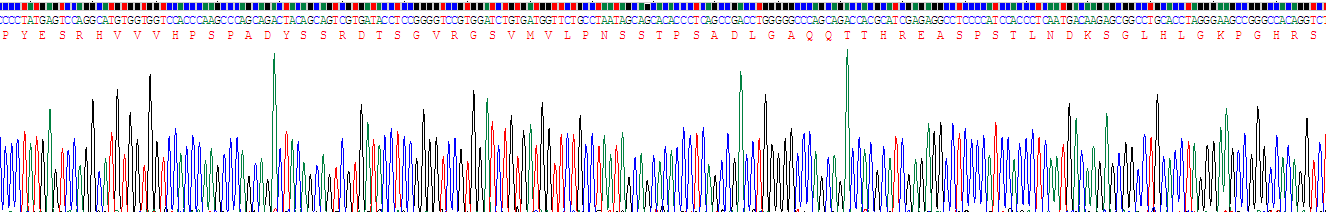 Recombinant Ataxin 1 (ATXN1)