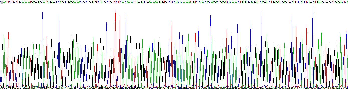 Recombinant Cytokeratin 15 (CK15)