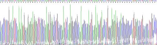 Recombinant Apolipoprotein A1 (APOA1)