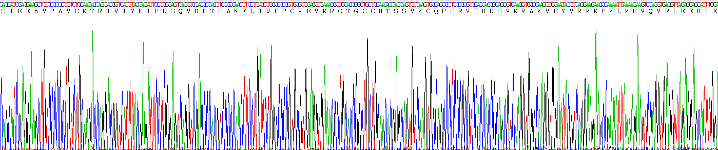 Recombinant Platelet Derived Growth Factor AA (PDGFAA)