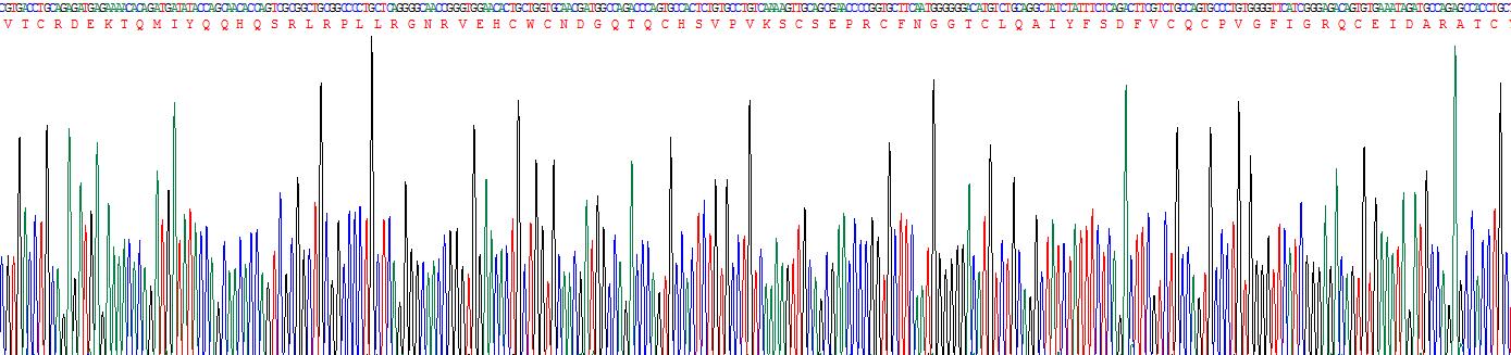 Recombinant Tissue Plasminogen Activator (tPA)