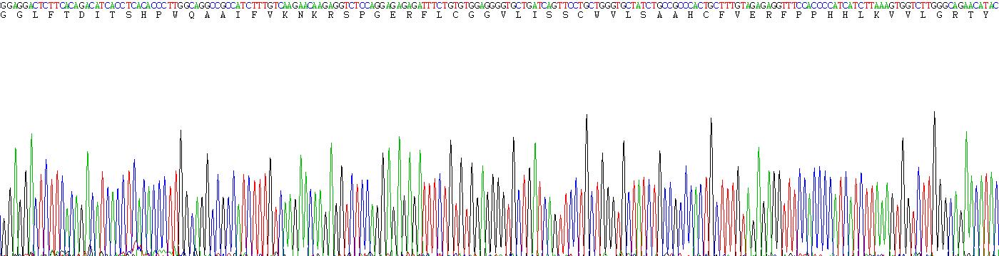 Recombinant Tissue Plasminogen Activator (tPA)