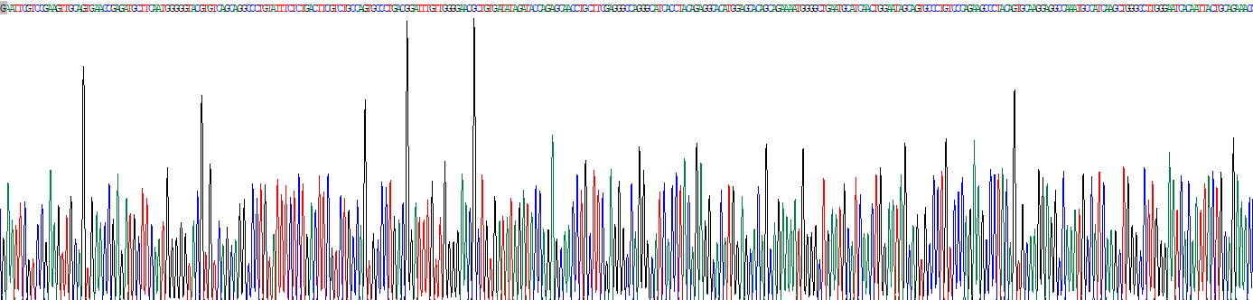 Recombinant Tissue Plasminogen Activator (tPA)