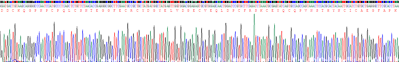 Recombinant Thrombomodulin (TM)