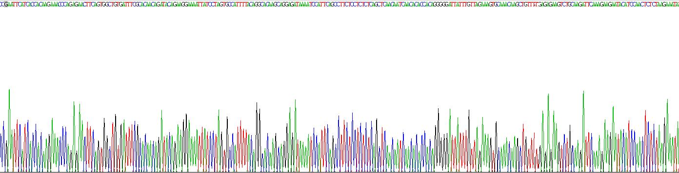 Recombinant Plasminogen Activator Inhibitor 2 (PAI2)