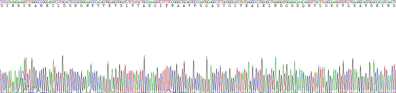 Recombinant Enolase, Neuron Specific (NSE)