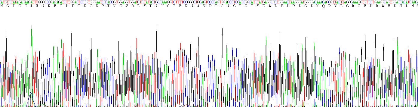 Recombinant Enolase, Neuron Specific (NSE)