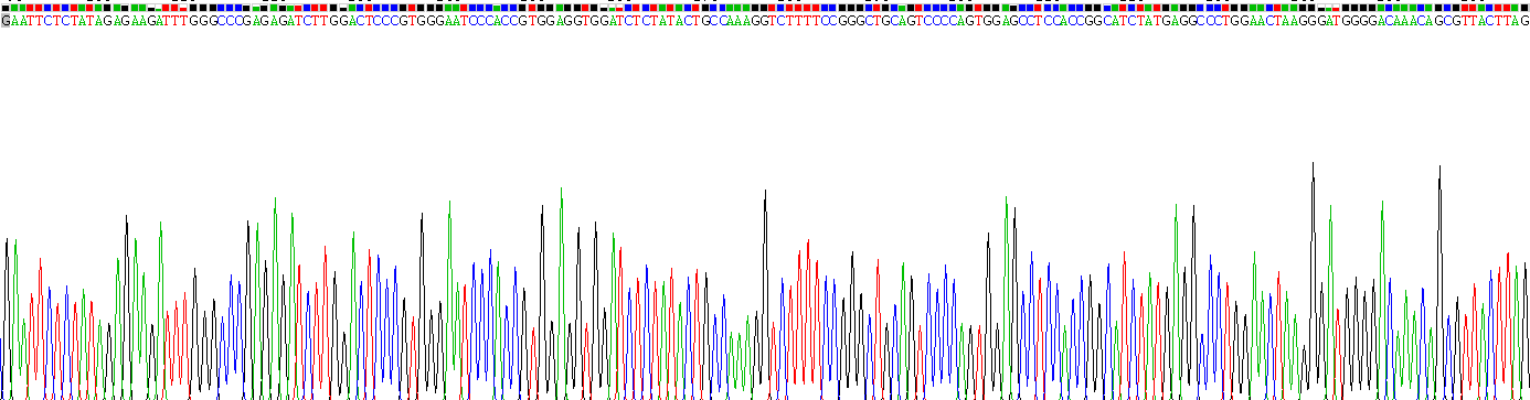 Recombinant Enolase, Neuron Specific (NSE)