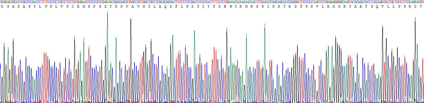 Recombinant Immunoglobulin M (IgM)