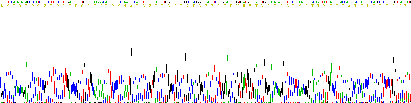 Recombinant Immunoglobulin E (IgE)