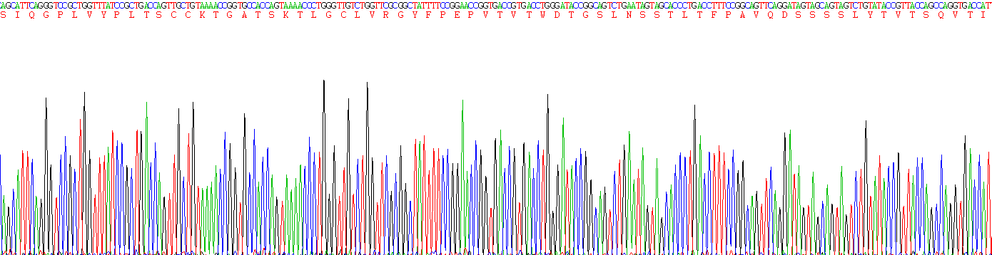 Recombinant Immunoglobulin E (IgE)