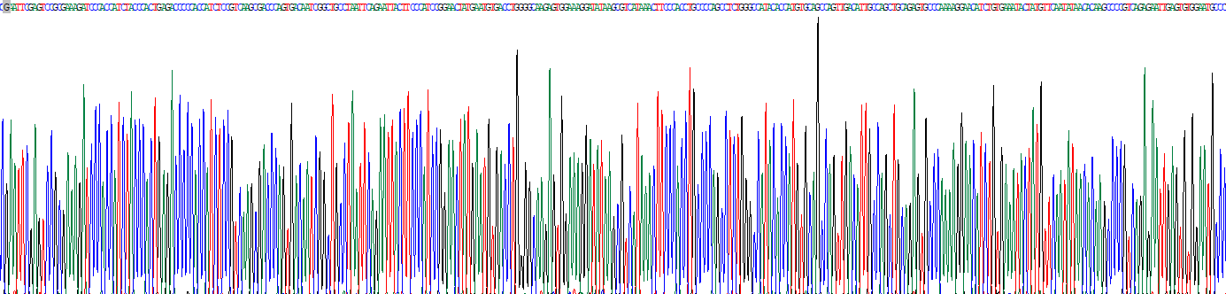 Recombinant Immunoglobulin A (IgA)