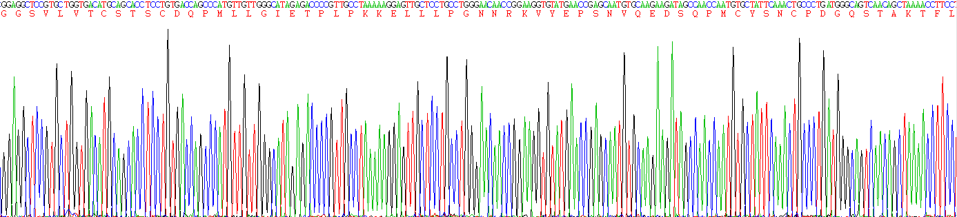 Recombinant Intercellular Adhesion Molecule 1 (ICAM1)