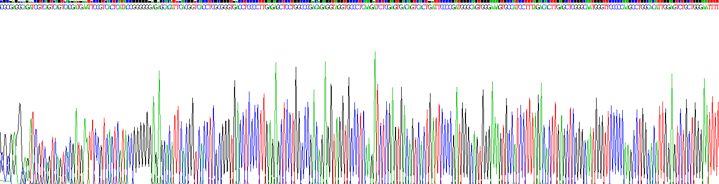 Recombinant Intercellular Adhesion Molecule 1 (ICAM1)