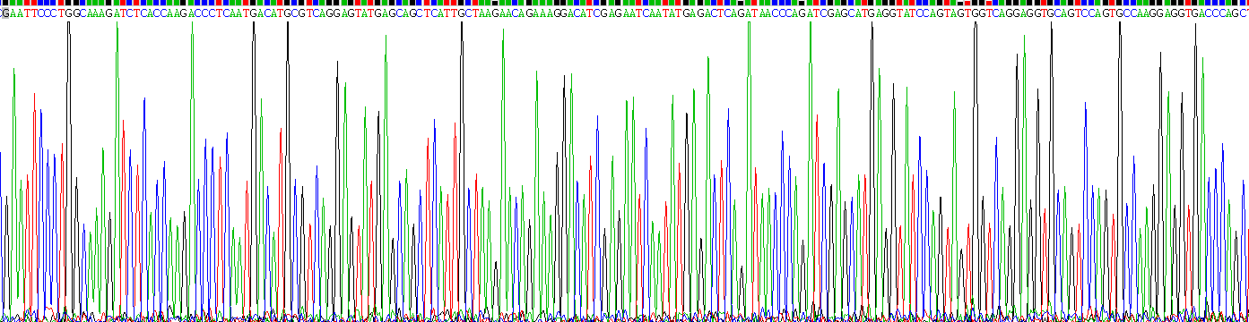 Recombinant Cytokeratin 9 (CK9)