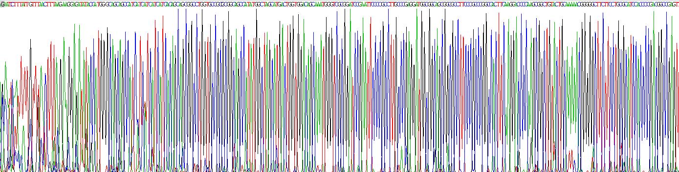 Recombinant Fibroblast Growth Factor 2, Basic (FGF2)